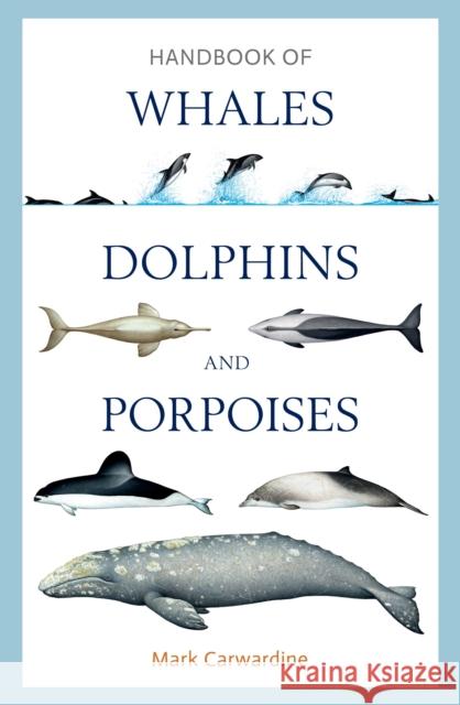 Handbook of Whales, Dolphins and Porpoises Mark Carwardine 9781472908148