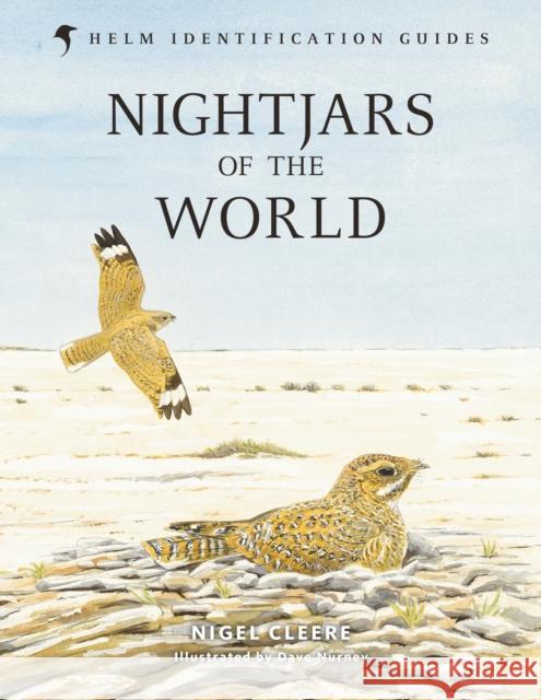 Nightjars of the World Nigel Cleere 9781472913487 Bloomsbury Publishing PLC