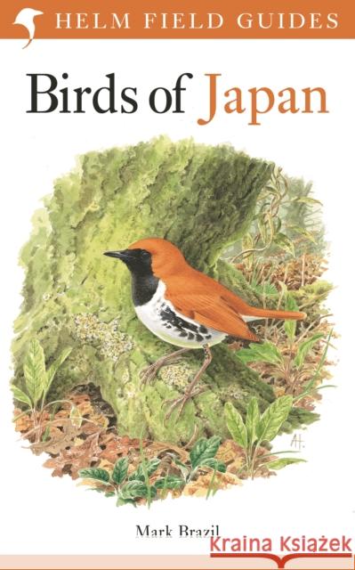 Birds of Japan Mark Brazil 9781472913869 Bloomsbury Publishing PLC