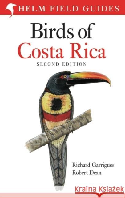 Field guide to Birds of Costa Rica Richard Garrigues 9781472916532