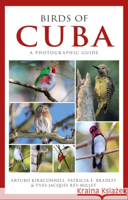 Photographic Guide to the Birds of Cuba Arturo Kirkconnell Patricia E. Bradley Yves-Jacques Rey-Millet 9781472918390