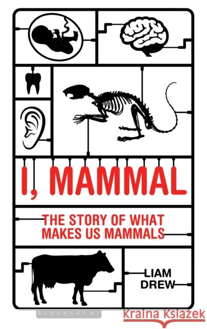 I, Mammal: The Story of What Makes Us Mammals Liam Drew 9781472922915 Bloomsbury Publishing PLC