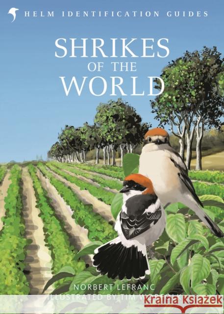 Shrikes of the World Norbert Lefranc Tim Worfolk 9781472933775 Bloomsbury Publishing PLC