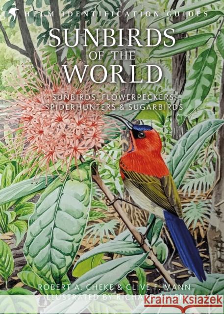 Sunbirds of the World Mann, Clive F. 9781472937438 Bloomsbury Publishing PLC