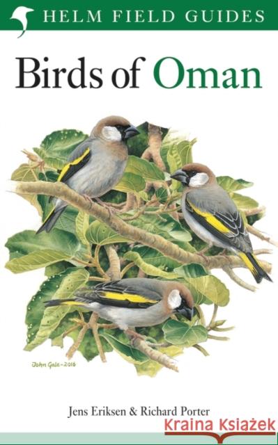 Field Guide to the Birds of Oman Richard Porter 9781472937537 Bloomsbury Publishing PLC