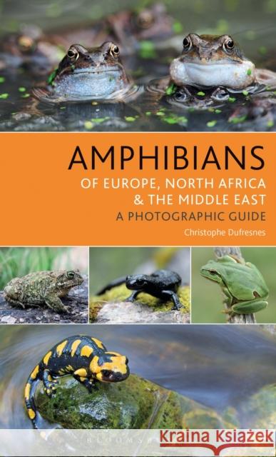 Amphibians of Europe, North Africa and the Middle East: A Photographic Guide Christophe Dufresnes 9781472941374 Bloomsbury Wildlife