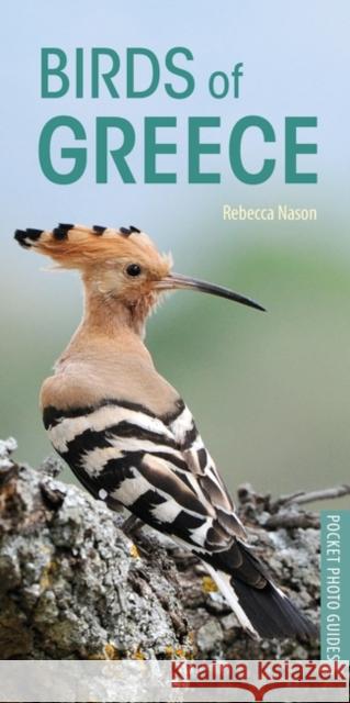 Birds of Greece Rebecca Nason 9781472949035 Bloomsbury Wildlife