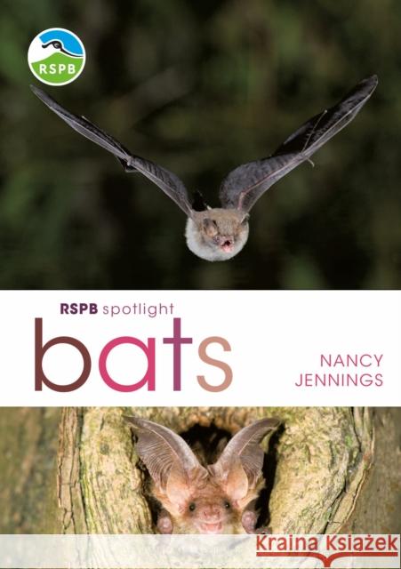 Rspb Spotlight Bats Nancy Jennings 9781472950055 Bloomsbury Wildlife