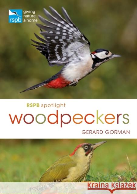 RSPB Spotlight Woodpeckers Gerard Gorman 9781472951182 Bloomsbury Publishing PLC