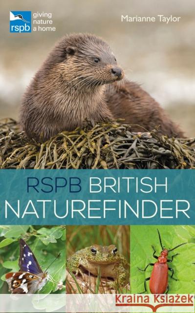 RSPB British Naturefinder Marianne Taylor 9781472951274 Bloomsbury Publishing PLC