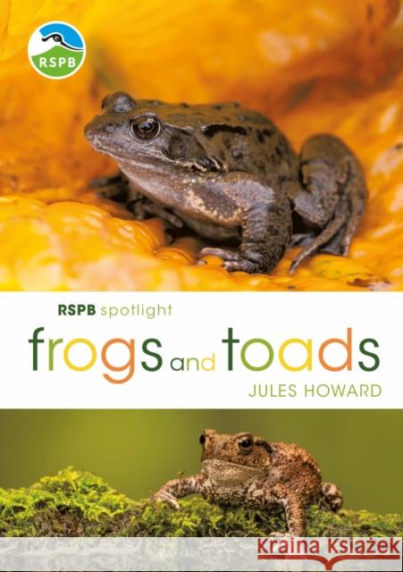 RSPB Spotlight Frogs and Toads Mr Jules Howard 9781472955814 Bloomsbury Publishing PLC