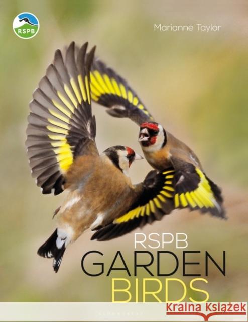 RSPB Garden Birds Marianne Taylor 9781472955913 Bloomsbury Publishing PLC