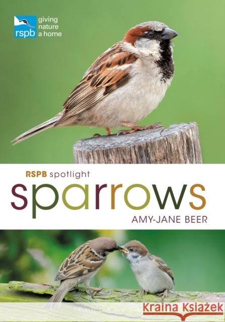 RSPB Spotlight Sparrows Amy-Jane Beer 9781472955937