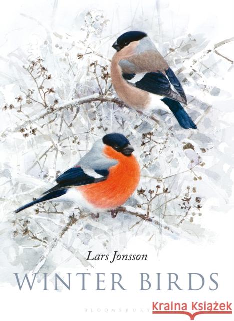 Winter Birds Lars Jonsson   9781472962010