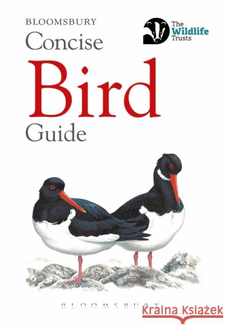 Concise Bird Guide Bloomsbury 9781472963758