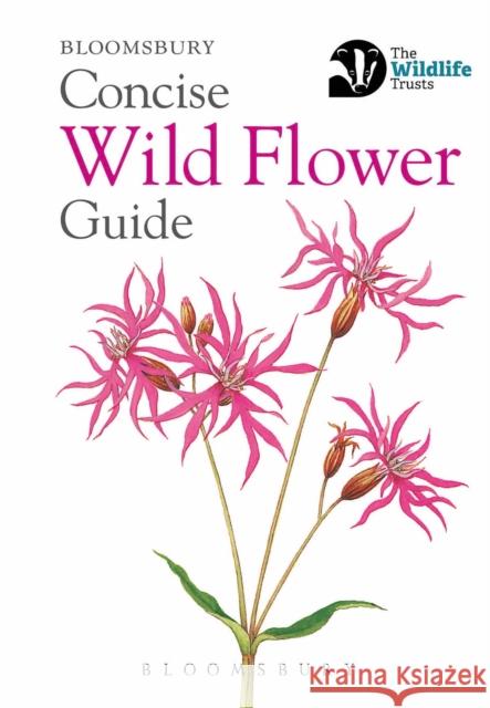 Concise Wild Flower Guide Bloomsbury 9781472963802