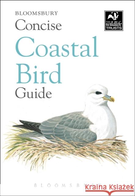 Concise Coastal Bird Guide  9781472963819 Bloomsbury Publishing PLC