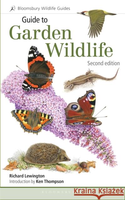 Guide to Garden Wildlife (2nd edition) Richard Lewington 9781472964830 Bloomsbury Wildlife