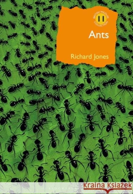 Ants: The ultimate social insects Richard Jones 9781472964861 Bloomsbury Publishing PLC