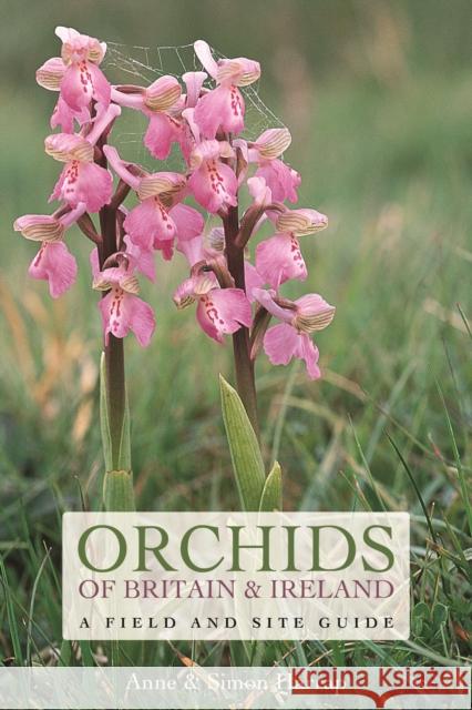 Orchids of Britain and Ireland: A Field and Site Guide Anne Harrap Simon Harrap  9781472965844