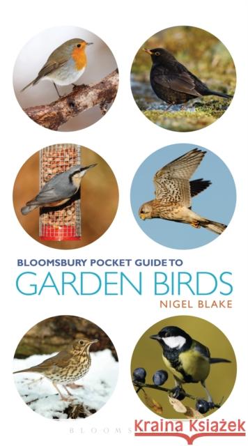 Pocket Guide To Garden Birds Nigel Blake 9781472966117