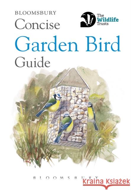 Concise Garden Bird Guide Bloomsbury Group   9781472966506 Bloomsbury Publishing PLC