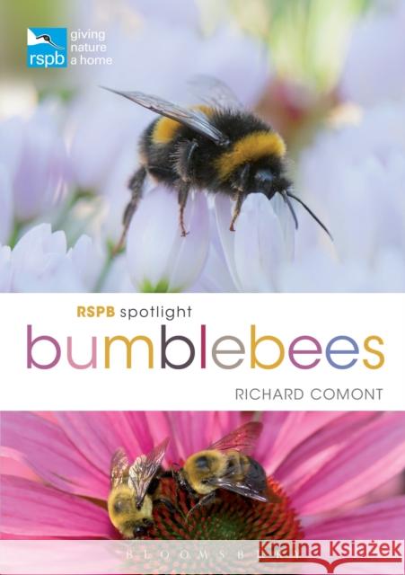 RSPB Spotlight Bumblebees Richard Comont 9781472966650 Bloomsbury Publishing PLC