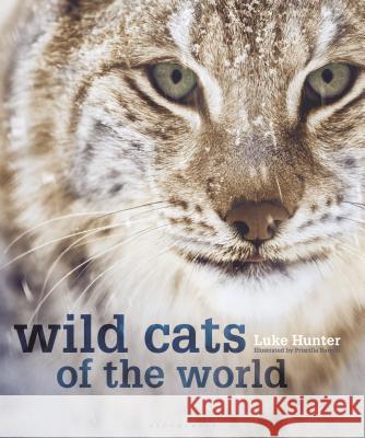 Wild Cats of the World Luke Hunter 9781472968265 Bloomsbury Publishing PLC
