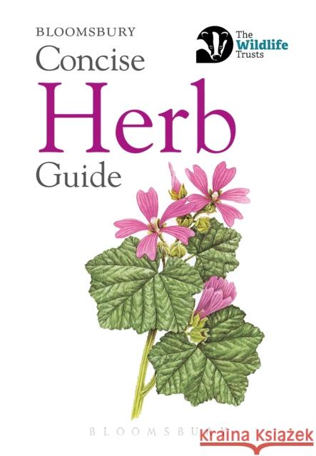 Concise Herb Guide Bloomsbury Group   9781472968272 Bloomsbury Publishing PLC