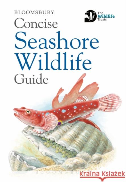 Concise Seashore Wildlife Guide Bloomsbury   9781472968296 Bloomsbury Publishing PLC