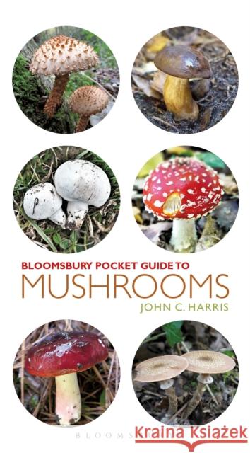 Pocket Guide to Mushrooms John C. Harris   9781472969606 Bloomsbury Publishing PLC