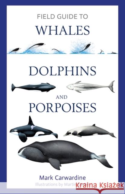 Field Guide to Whales, Dolphins and Porpoises Mark Carwardine 9781472969972 Bloomsbury Publishing PLC