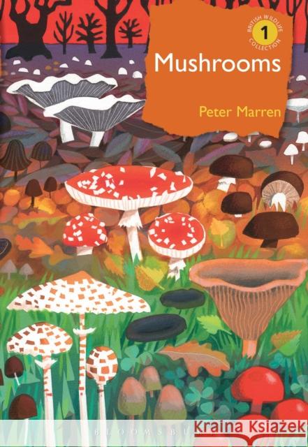 Mushrooms: The natural and human world of British fungi Peter Marren 9781472971494 Bloomsbury Wildlife
