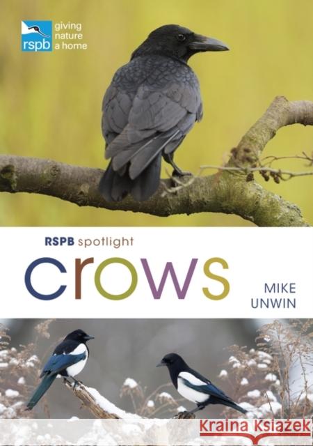 RSPB Spotlight Crows Mike Unwin 9781472971777 Bloomsbury Publishing PLC