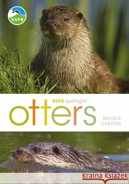 RSPB Spotlight: Otters Nicola Chester 9781472971821 Bloomsbury Publishing PLC