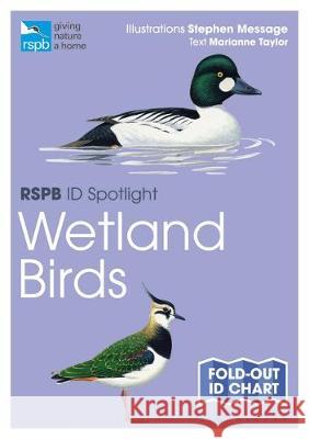RSPB ID Spotlight - Wetland Birds Marianne Taylor Stephen Message 9781472974235 Bloomsbury Wildlife