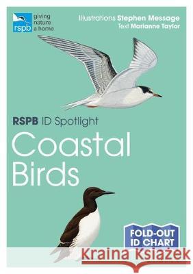 RSPB ID Spotlight - Coastal Birds Marianne Taylor Stephen Message 9781472974242 Bloomsbury Wildlife
