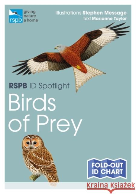 RSPB ID Spotlight - Birds of Prey Marianne Taylor Stephen Message 9781472974259 Bloomsbury Publishing PLC