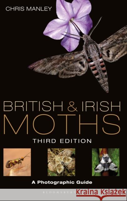 British and Irish Moths: Third Edition: A Photographic Guide Chris Manley 9781472975201 Bloomsbury Publishing PLC