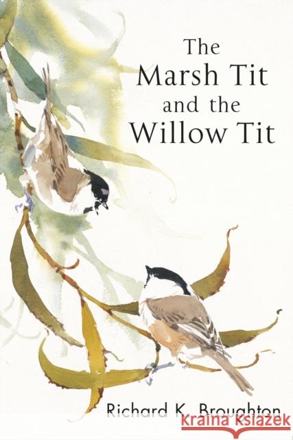 The Marsh Tit and The Willow Tit Richard Broughton 9781472980328 Bloomsbury Publishing PLC