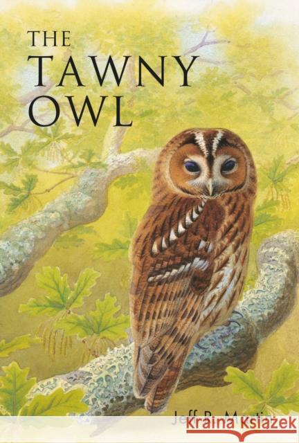 The Tawny Owl Jeff Martin 9781472980694