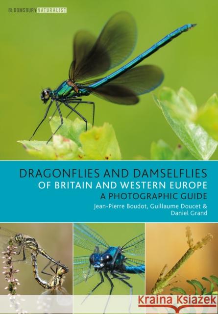 Dragonflies and Damselflies of Britain and Western Europe: A Photographic Guide Boudot, Jean-Pierre 9781472982223 Bloomsbury Wildlife