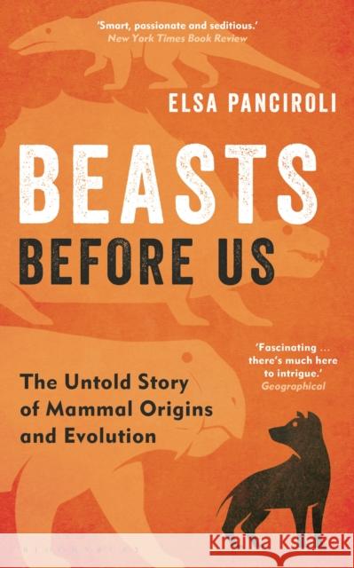 Beasts Before Us: The Untold Story of Mammal Origins and Evolution Elsa Panciroli 9781472983985 Bloomsbury Publishing PLC