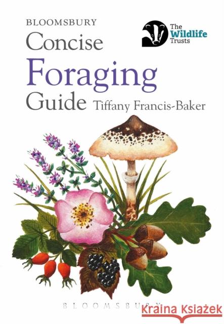 Concise Foraging Guide Tiffany Francis-Baker 9781472984746