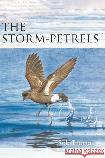 Storm-petrels Rob Thomas 9781472985828 T & Ad Poyser