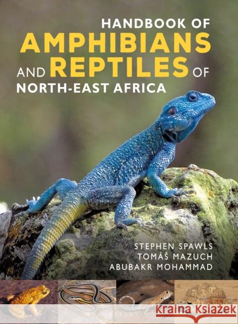 Handbook of Amphibians and Reptiles of North-east Africa Tomas Mazuch 9781472991447 Bloomsbury Publishing PLC