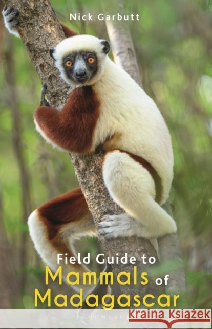 Field Guide to Mammals of Madagascar Nick Garbutt 9781472991676