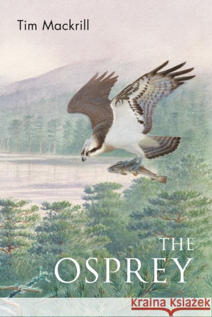 The Osprey Tim (Author) Mackrill 9781472992611 Bloomsbury Publishing PLC