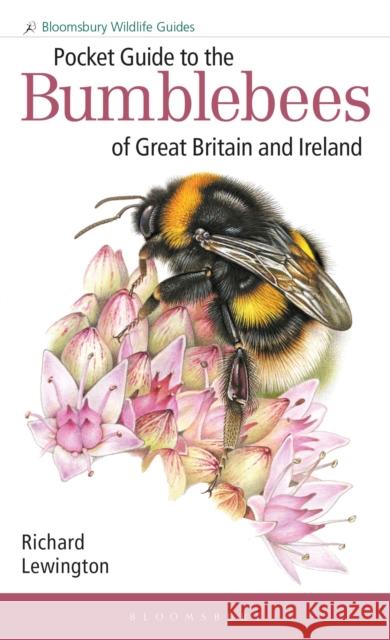 Pocket Guide to the Bumblebees of Great Britain and Ireland Richard Lewington 9781472993595
