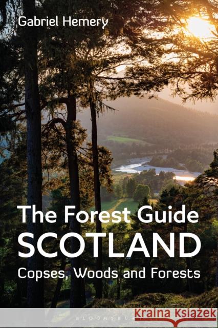 The Forest Guide: Scotland: Copses, Woods and Forests of Scotland Gabriel Hemery 9781472994646 Bloomsbury Publishing PLC